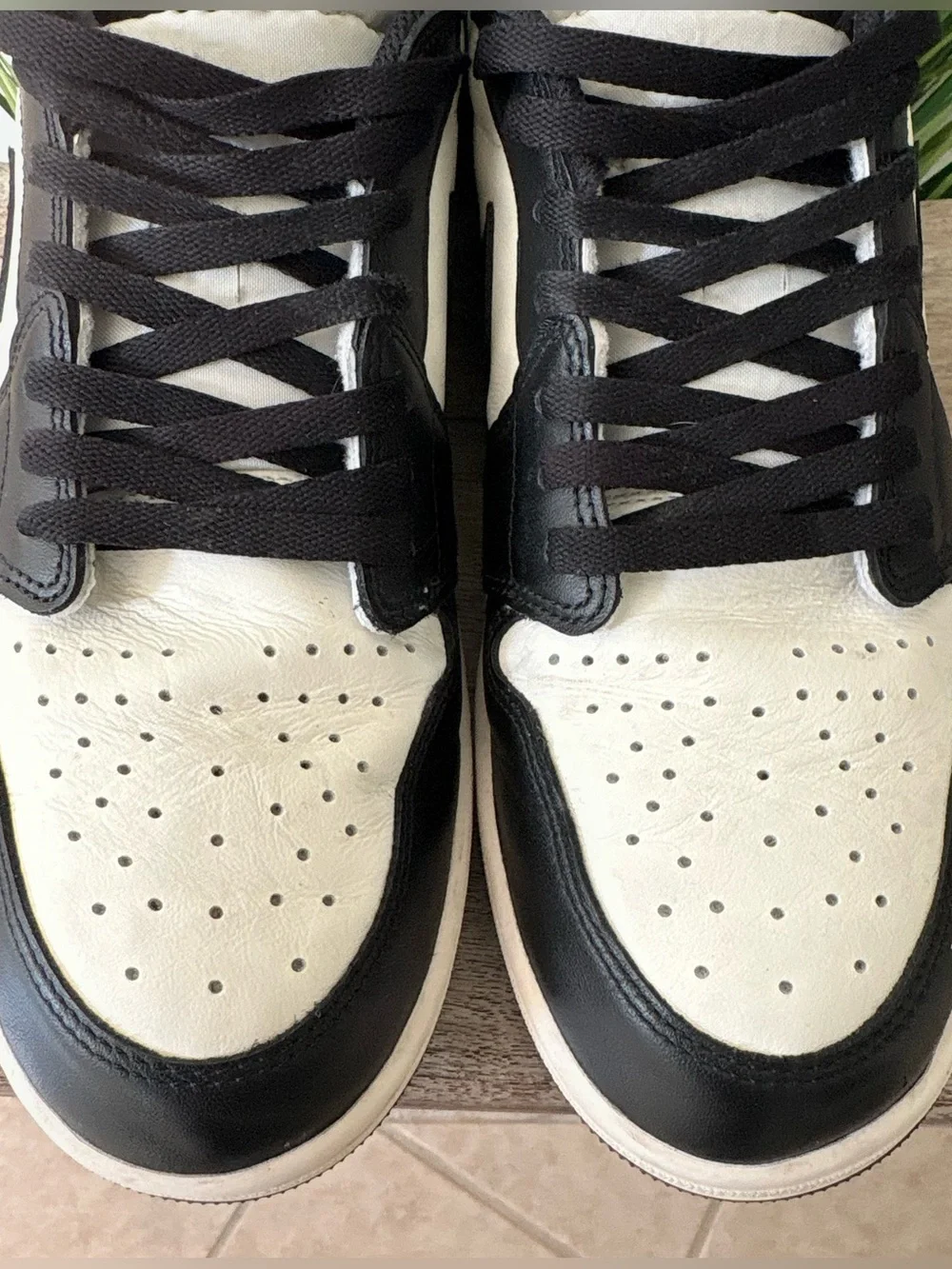 Air Jordan 1 Low Mocha Sneakers